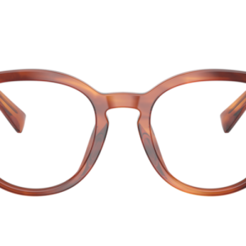 Dolce&Gabbana Man Striped Ochre