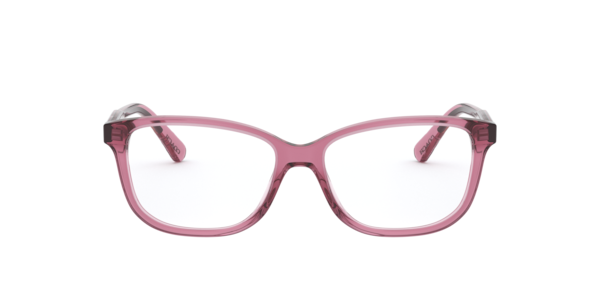 Coach Woman Transparent