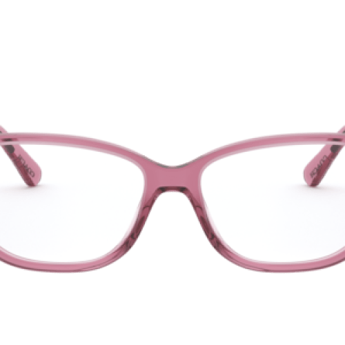 Coach Woman Transparent