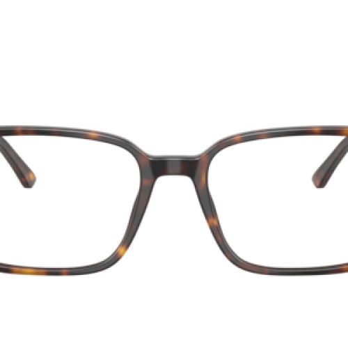 Ray-Ban Unisex Havana