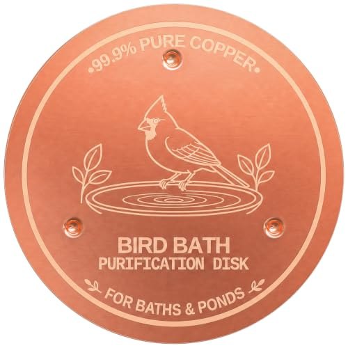 Azomabox 2-Pack Copper Disc for Bird Bath, 99.9% Pure Copper (Cardinal)