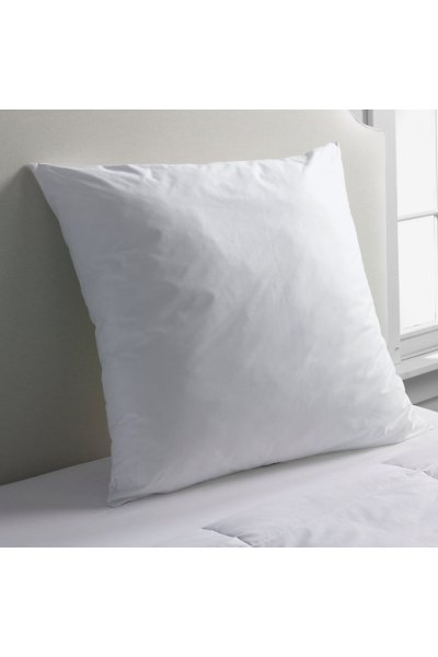 Euro Pillow Insert - Lands End - White