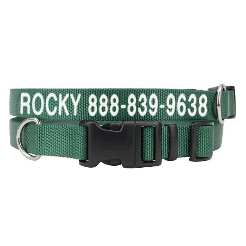 Top Paw Basic Chain Dog Collar, Silver Training Multiple Sizes in Chrome, Size: 14 | PetSmart