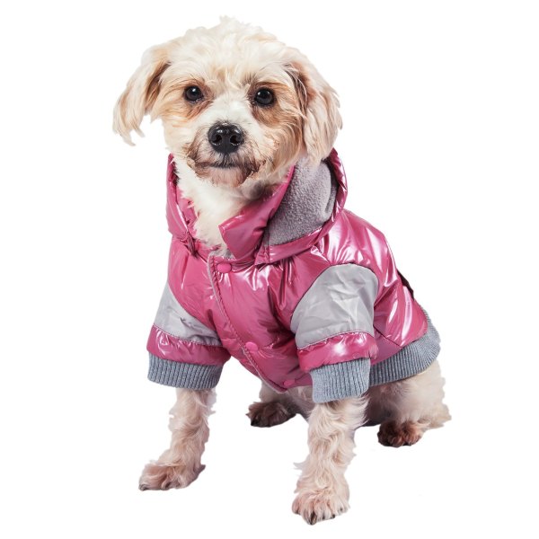 Pet Life Coat in Size: | Polyester PetSmart