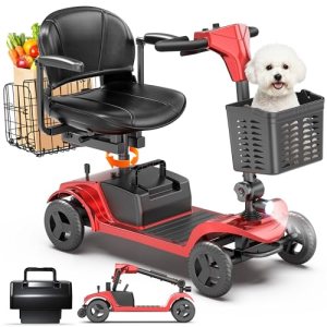 Mobility Scooters for Seniors