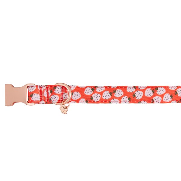 Top Paw Strawberry Dog Collar, Red Comfortable, Adjustable, Neoprene, Multiple Sizes in Red/pink, Size: | PetSmart