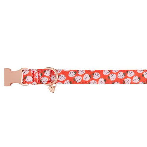 Top Paw Strawberry Dog Collar, Red Comfortable, Adjustable, Neoprene, Multiple Sizes in Red/pink, Size: | PetSmart
