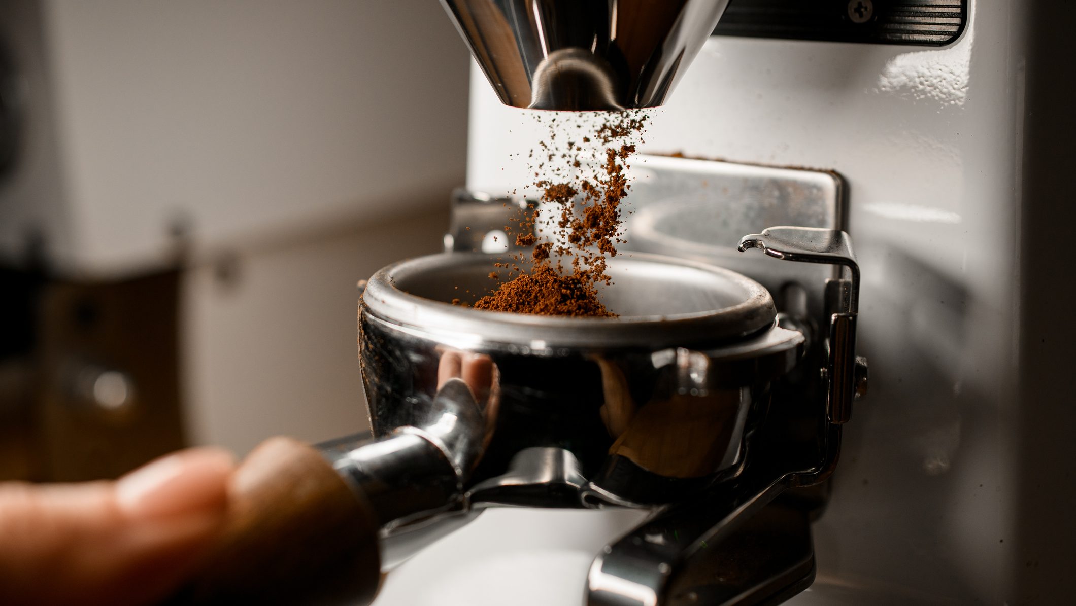 Close-up of chrome portafilter in hands of barista into which coffee grinder pours ground coffee