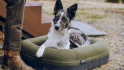 YETI Boomer Dog Bed