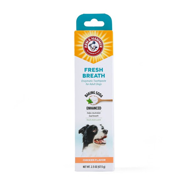 Arm & Hammer Dog Fresh Breath Enzymatic Toothpase, Neutralize Bad - Chicken Flavor, 2.5 oz in Mint | PetSmart