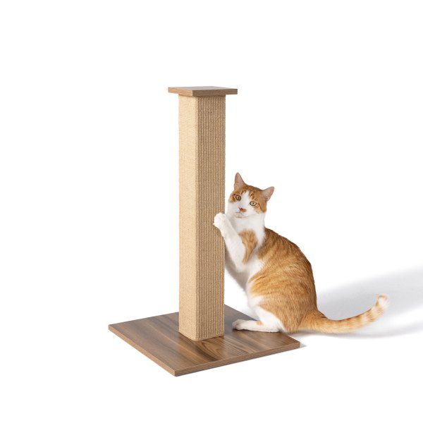 Whisker City 28-In Tan Brown Sisal Cat Scratching Post, Size: 15.75L X 15.75W 28H | PetSmart