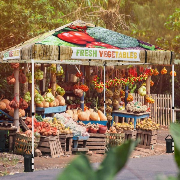 ft. x 10 ft. Pop Up Canopy Tent with 4-Sand Bags