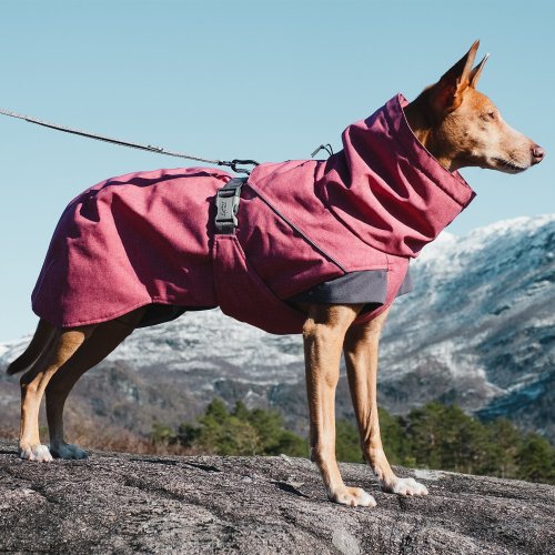 Hurtta Expedition Insulated Dog Parka, Buckthorn, 14-in, X-Large