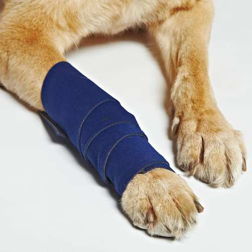 HEALERS Medical with Gauze Pads, Blue, Medium