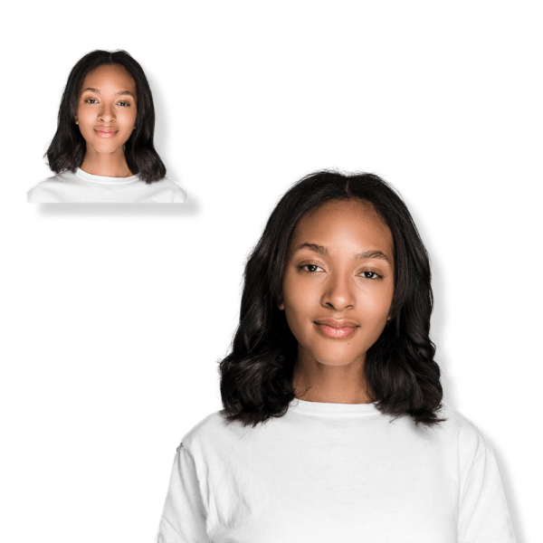 Locks Mane 12 Clip-In Human Hair Extension