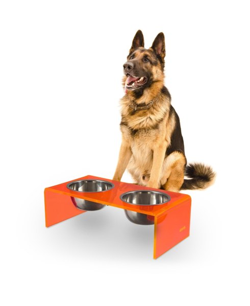 Keaton Modern Acrylic Rectangular Elevated Pet Feeder with 2-Stainless Steel Bowls - Pink/chrome