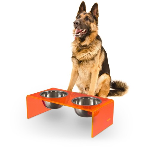 Keaton Modern Acrylic Rectangular Elevated Pet Feeder with 2-Stainless Steel Bowls – Pink/chrome