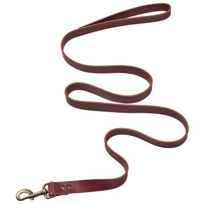 Bass Pro Shops Leash for Dogs