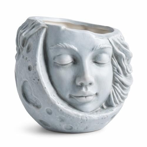 Moon Face Hanging Planter Quirky Celestial Decor for Plant Lovers – Indoor Outdoor