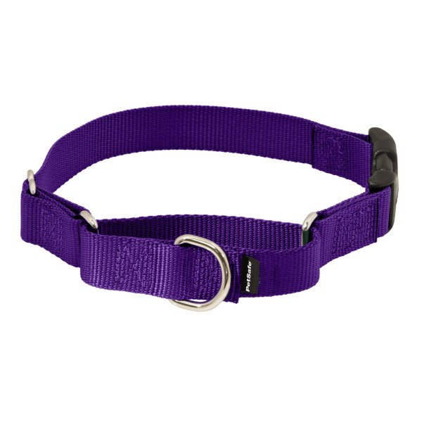Petsafe Martingale 3/4 Collar With Quick Snap Buckle in Dark Purple, Size: | PetSmart