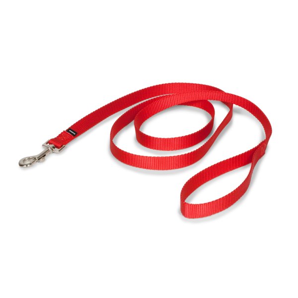 Petsafe Nylon Dog Leash, 6 ft in Size: | PetSmart