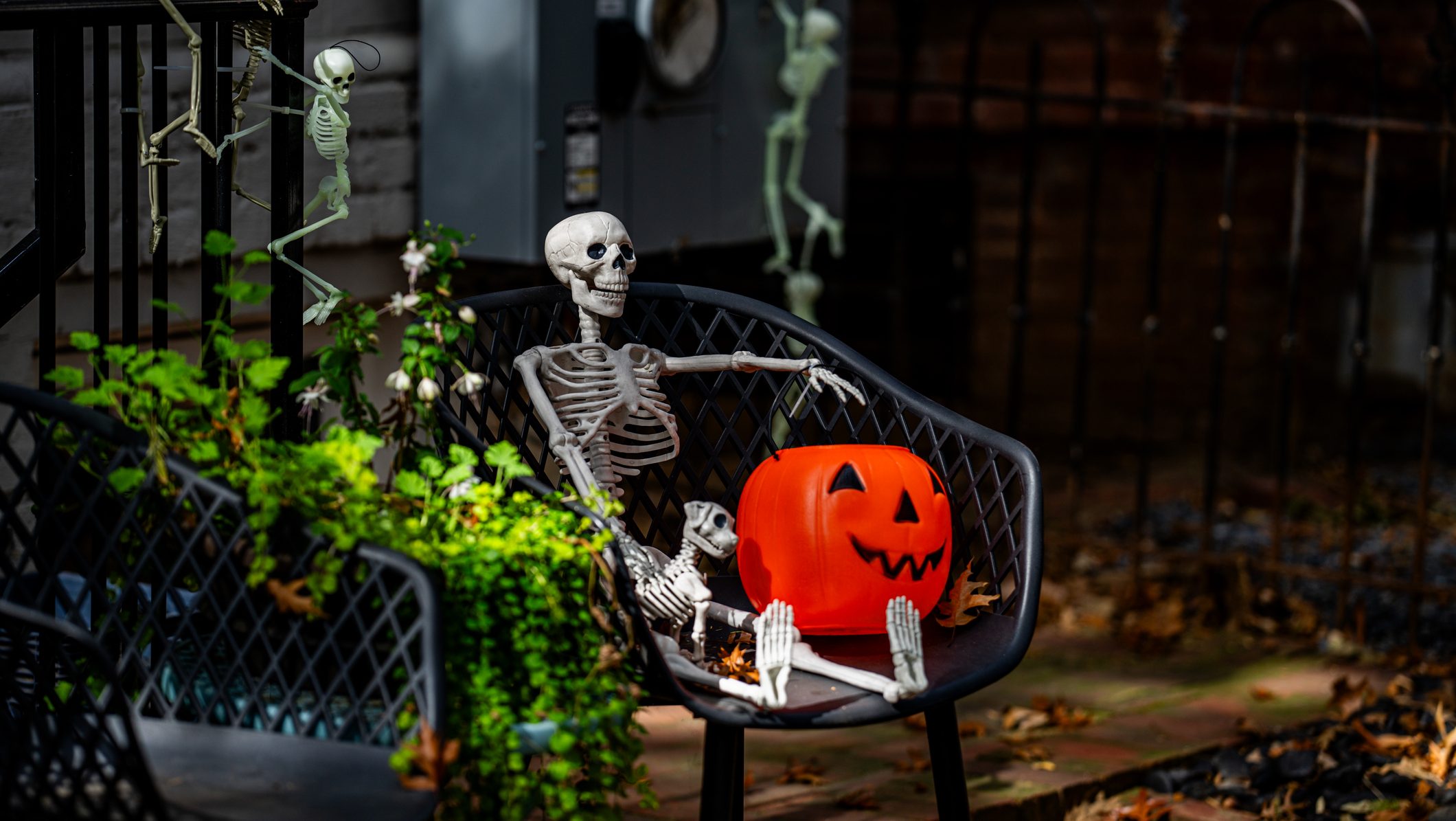 Halloween house outdoor decorations with skeleton, pumpkins and ghosts near the Halloween house porch. Halloween pumpkin and skeleton for decorated house. Halloween yard of a home, Trick or treat