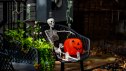 Halloween house outdoor decorations with skeleton, pumpkins and ghosts near the Halloween house porch. Halloween pumpkin and skeleton for decorated house. Halloween yard of a home, Trick or treat