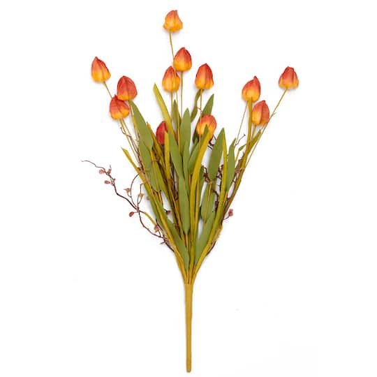 21 Chinese Lantern Bush, 3ct. By 3 Park | Michaels
