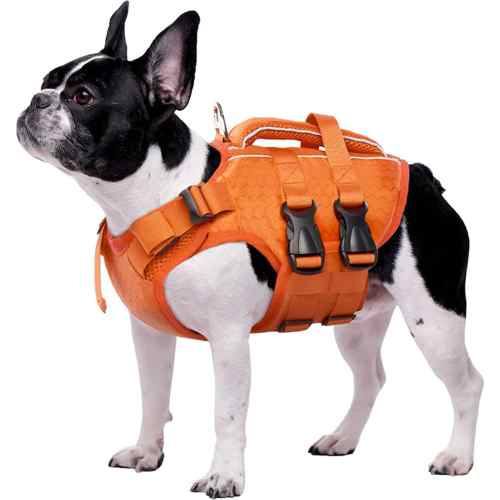 Kuoser Double Handle Dog Life Jacket, Red, X-Small