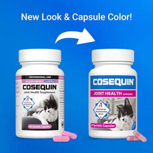 NUTRAMAX Joint Supplement for Cats, Count
