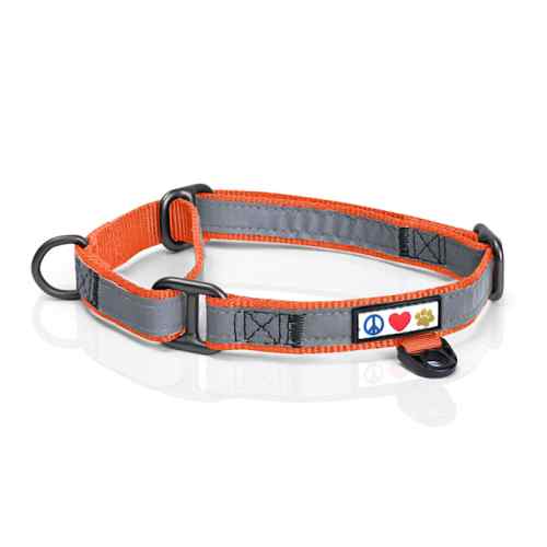 Pawtitas Reflective Martingale Dog Collar