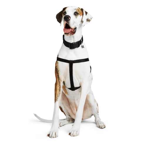 YOULY Adjustable Dog Harness, Blue