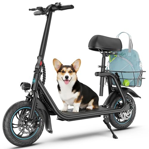 Electric Scooter with Seat for Adults C1 450W Motor 20 Miles