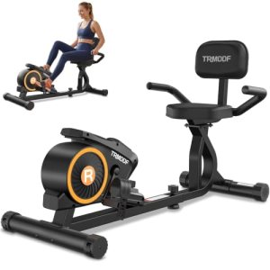 Recumbent Exercise Bike with Magnetic Resistance for Home