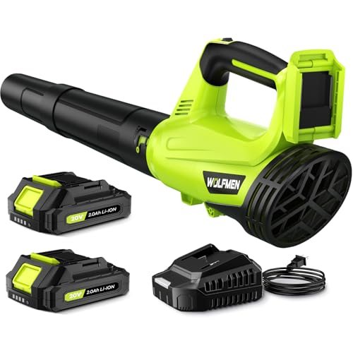 Leaf Blower, Electric  Cordless with 2 Batteries and Charger, 2 Speed Mode, Lightweight