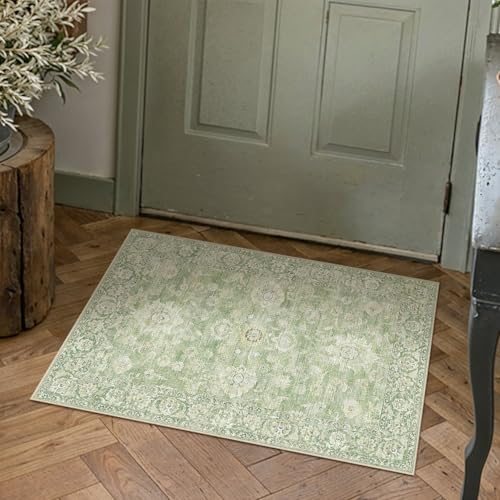 WondRg 2×3 Green Neutral Area Rug