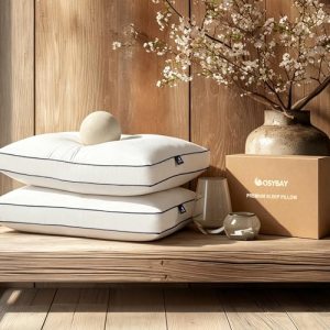 Goose Feather and Down Pillows King Size Set of 2, Luxury