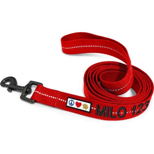 Pawtitas Reflective Dog Leash, 6-ft long, 1-in wide